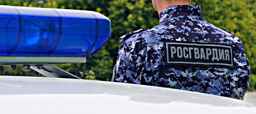 Похитителей интернет-кабеля задержали росгвардейцы в Нижнем Новгороде