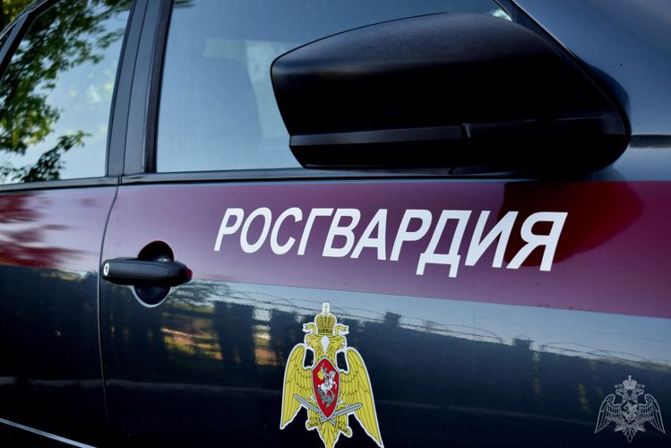 Росгвардейцы предотвратили кражу с охраняемого объекта в ЗАТО Саров