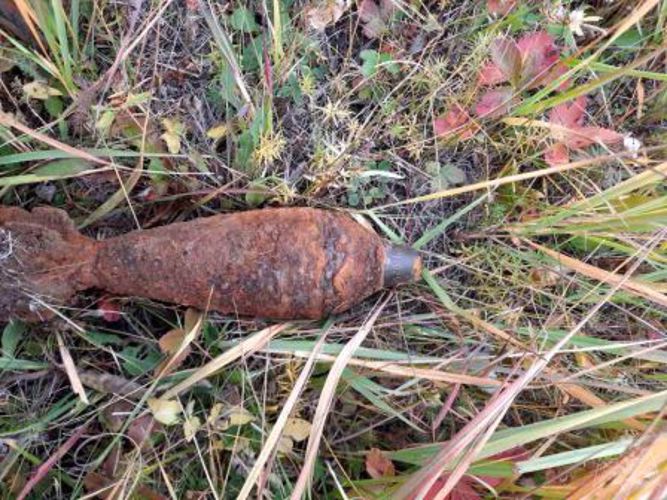 В Нижегородской области группа разминирования ОМОН Росгвардии обследовала и уничтожила части снаряда времен Великой Отечественной войны