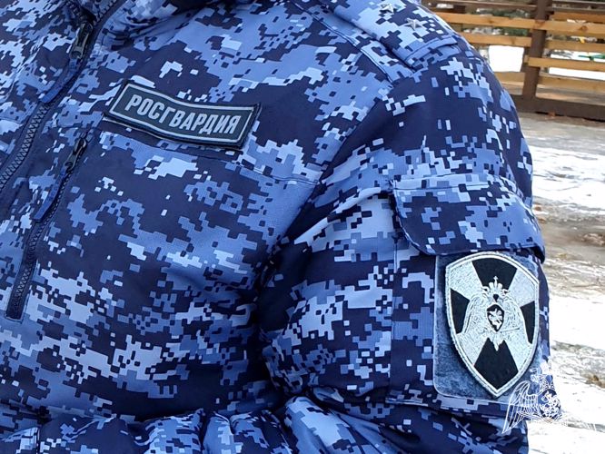В Нижегородской области росгвардейцами задержан похититель алкоголя