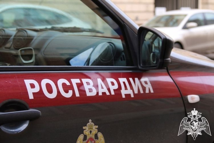 В Нижнем Новгороде росгвардейцы задержали гражданина за угрозу убийством