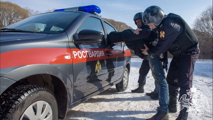 Попытку вооруженного ограбления пресек патруль Росгвардии в Нижнем Новгороде