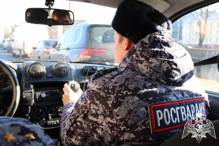 Сотрудники Росгвардии в Нижегородской области задержали нетрезвого водителя