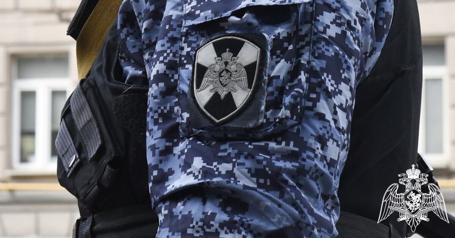 В Нижегородской области сотрудники Росгвардии задержали устроившую драку в кафе девушку