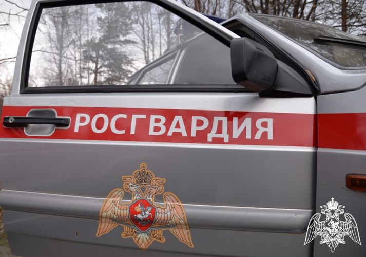 В Нижегородской области сотрудники Росгвардии пресекли ряд имущественных преступлений