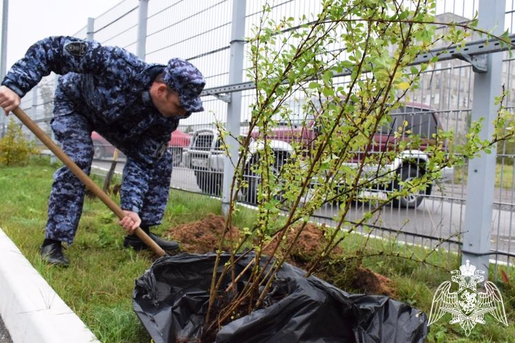 Нижегородские росгвардейцы присоединились к Всероссийской ведомственной акции «Древо Сталинграда»