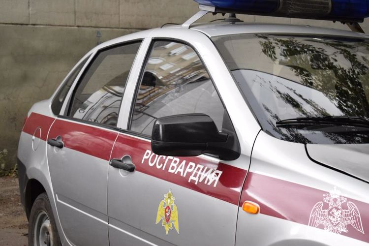 В Нижегородской области росгвардейцами во время патрулирования выявлен сотовый телефон, находящийся в  розыске