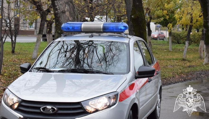 В Нижнем Новгороде росгвардейцы задержали вандала, за порчу имущества городского парка