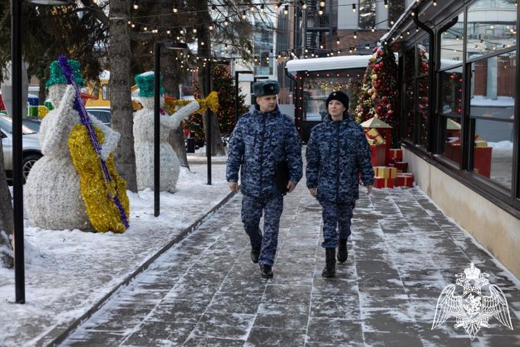 В Нижегородской области в преддверии новогодних и рождественских праздников сотрудники вневедомственной охраны проводят плановые обследования объектов