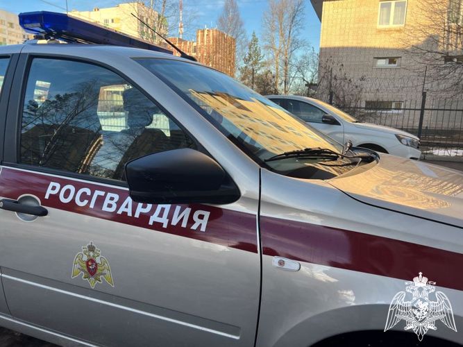Сотрудники Росгвардии в Городце задержали злоумышленника за оплату товара похищенной банковской картой