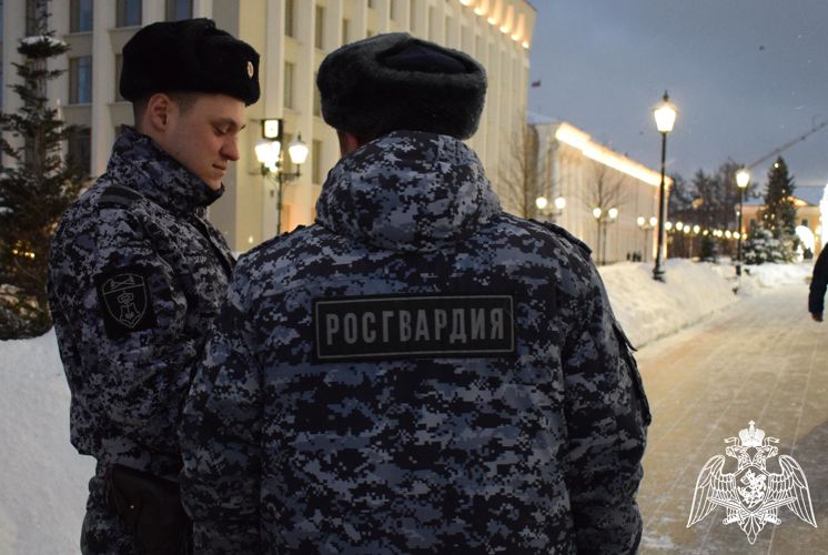 В Нижнем Новгороде сотрудники Росгвардии задержали мужчину повредившего чужое имущество