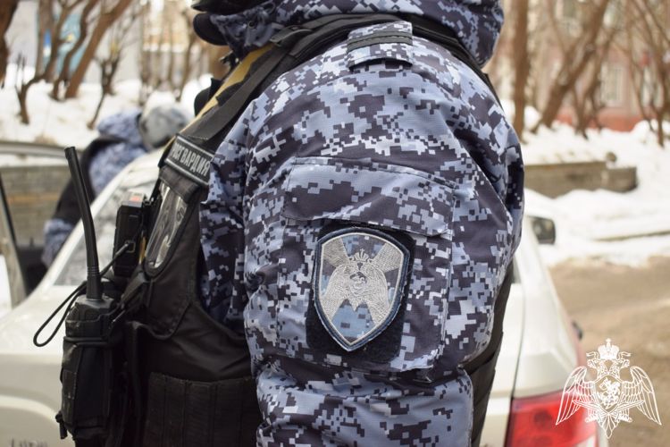 В Нижнем Новгороде сотрудники Росгвардии задержали женщину, похитившую строительный инструмент
