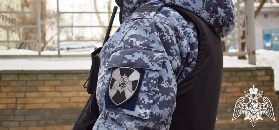 В Нижнем Новгороде сотрудники Росгвардии задержали мужчину, совершившего хищение товара в магазине