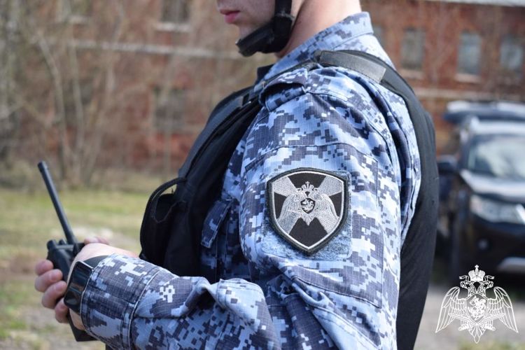 В Нижнем Новгороде росгвардейцами задержаны подозреваемые в совершении краж 