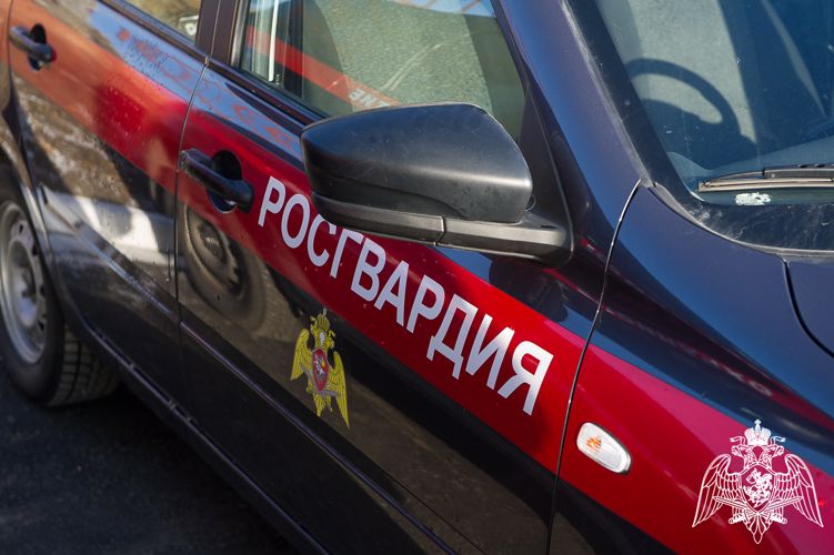В Приволжской столице сотрудники Росгвардии задержали двух дебоширов в аквапарке