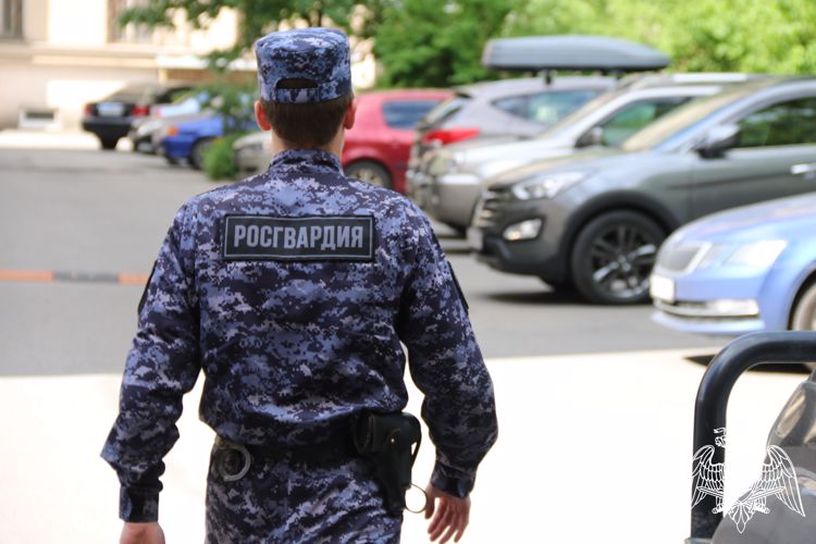 В Нижегородской области росгвардейцы  нашли угнанный автомобиль