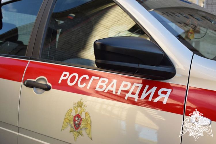Управление вневедомственной охраны Росгвардии по Нижегородской области отметило профессиональный праздник