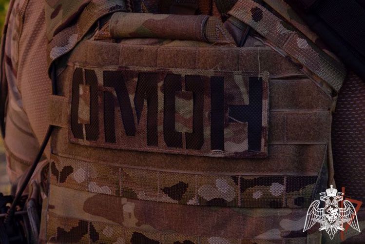В Нижегородской области при силовой поддержке Росгвардии выявлены факты нарушения миграционного законодательства