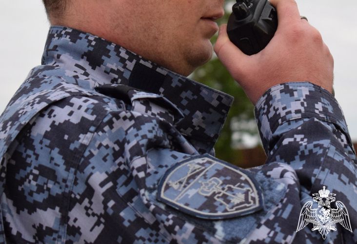 В Нижнем Новгороде росгвардейцы задержали женщину, ударившую ножом свою мать