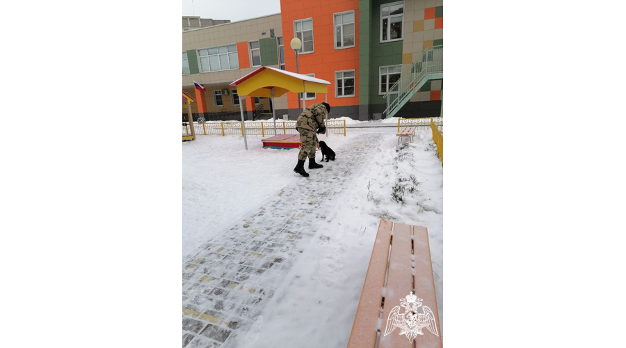 Кинолог саровской дивизии Росгвардии рассказал о своей профессии воспитанникам детского сада 