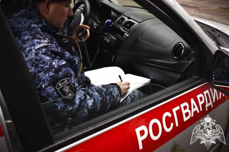 В Приволжской столице сотрудники Росгвардии задержали мужчину, причинившего имущественный ущерб