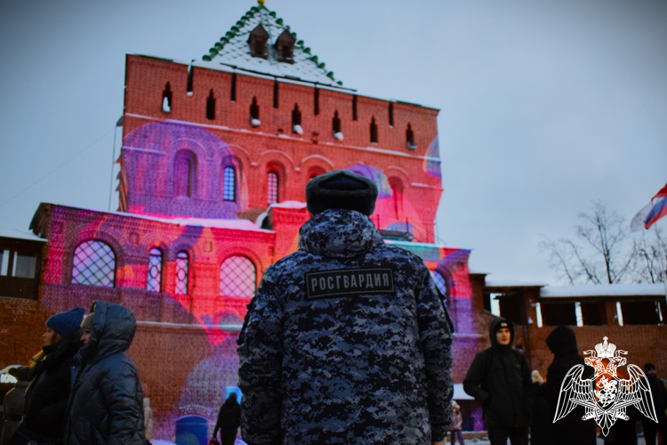В Нижегородской области в преддверии новогодних и рождественских праздников сотрудники вневедомственной охраны проводят плановые обследования объектов