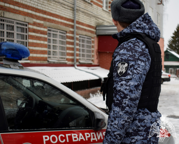 В Нижнем Новгороде росгвардейцы задержали молодого человека за угон автомобиля