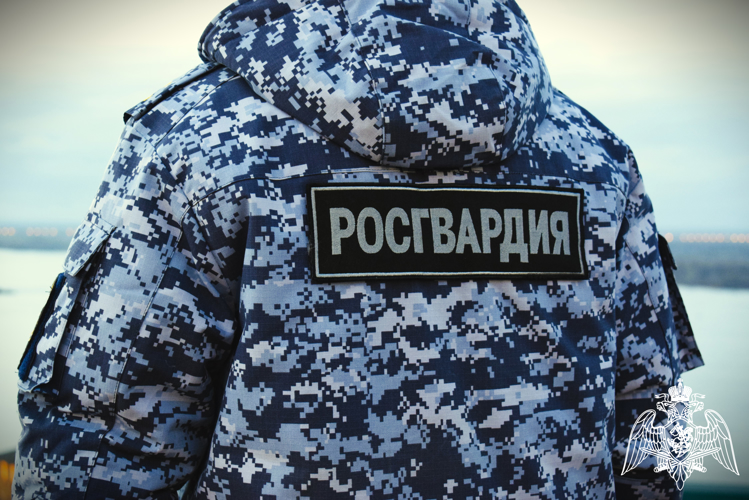 В Нижегородской области росгвардейцы задержали злоумышленника за проникновение в магазин и хищение денежных средств