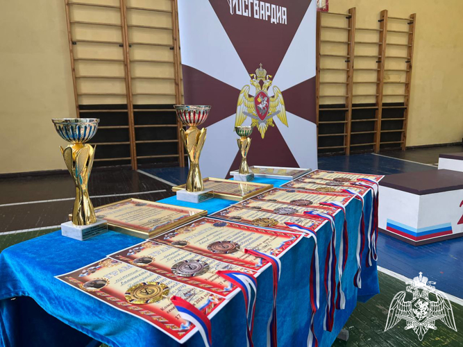 В Сарове подвели итоги чемпионата дивизии по военно-спортивному многоборью