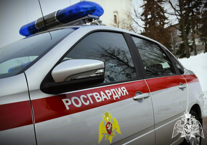 Сотрудники Росгвардии предотвратили серию краж из магазинов Нижнего Новгорода