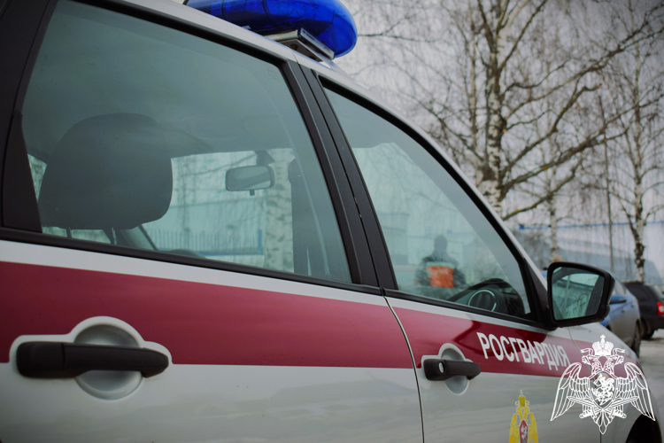 В Нижнем Новгороде сотрудниками Росгвардии задержан мужчина за причинение вреда здоровью пенсионера