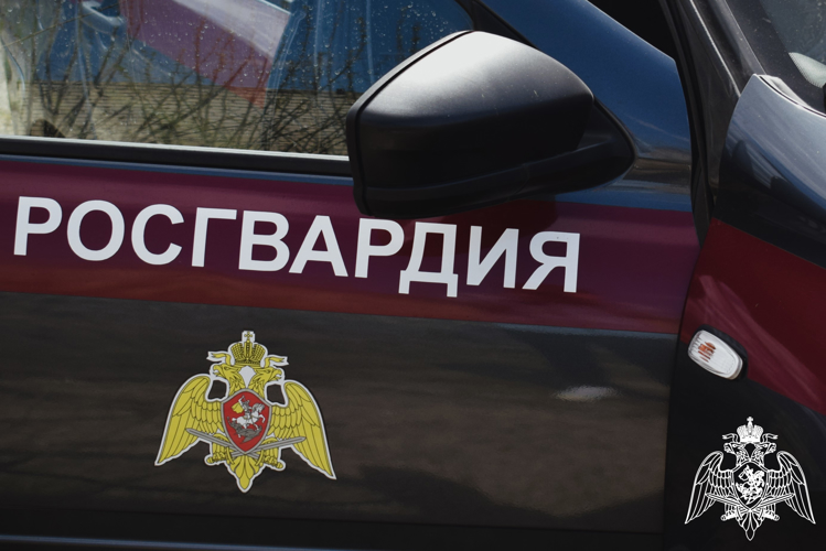 Нижегородские росгвардейцы за прошедшую неделю выезжали более 700 раз по сигналу «тревога»