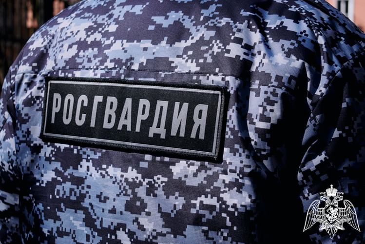 В Нижнем Новгороде сотрудники Росгвардии задержали двух мужчин за попытку хищения смартфона у своего приятеля