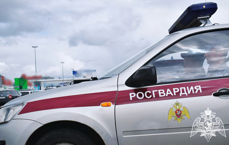 В столице Приволжья сотрудники Росгвардии пресекли ряд имущественных преступлений