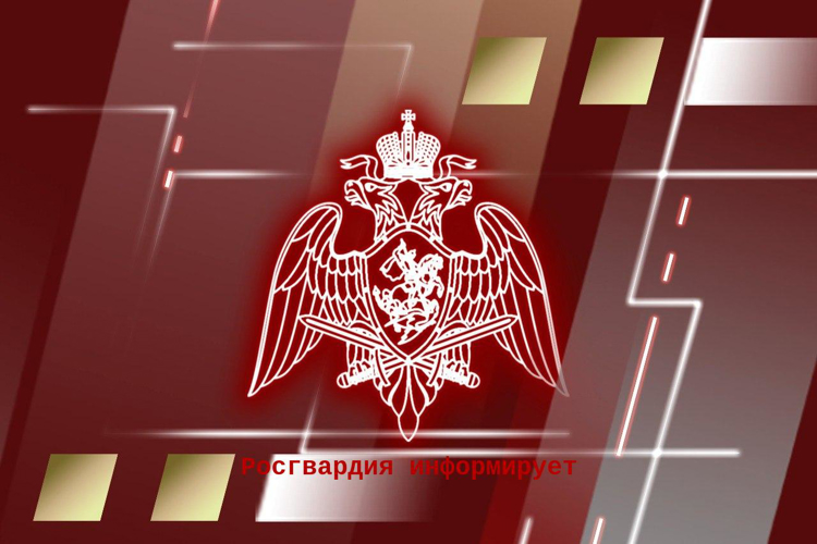 Управление вневедомственной охраны войск национальной гвардии Российской Федерации по Нижегородской области проведёт прямую телефонную линию 