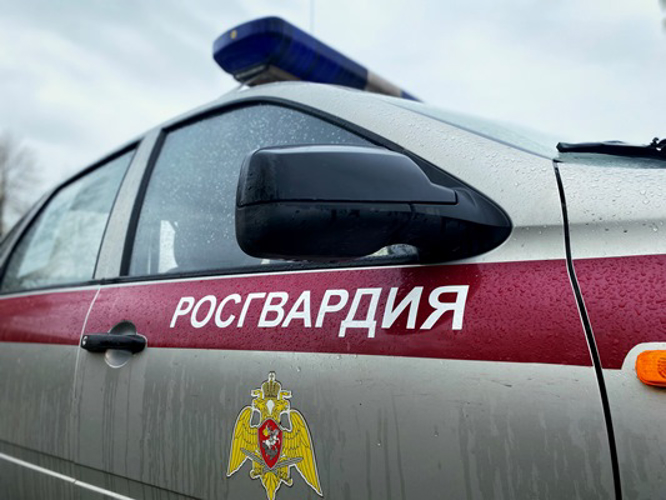 Нижегородские росгвардейцы за прошедшую неделю выезжали более 850 раз по сигналу «тревога»