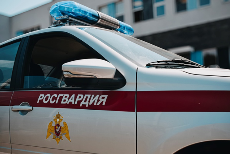 В Нижнем Новгороде сотрудники Росгвардии пресекли ряд имущественных преступлений
