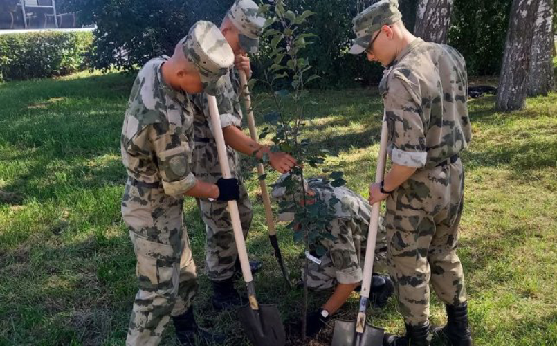 В Дзержинске сотрудники и военнослужащие Росгвардии продолжают участие в общегородской акции по озеленению города