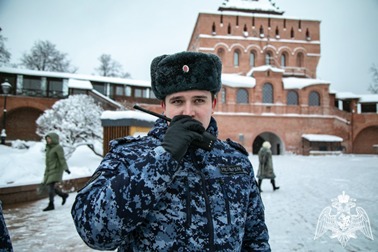 В Нижегородской области в преддверии новогодних и рождественских праздников сотрудники вневедомственной охраны проводят плановые обследования объектов