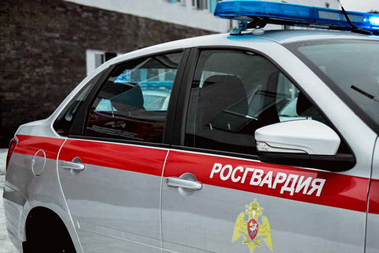 В Нижегородской области росгвардейцы задержали хулигана в развлекательном комплексе