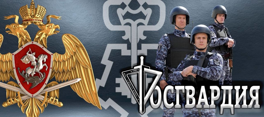 В Нижегородской области запущен многофункциональный сайт вневедомственной охраны Росгвардии