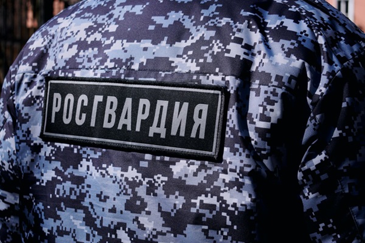 Росгвардейцами задержан нижегородец за телесные повреждения своему коллеге