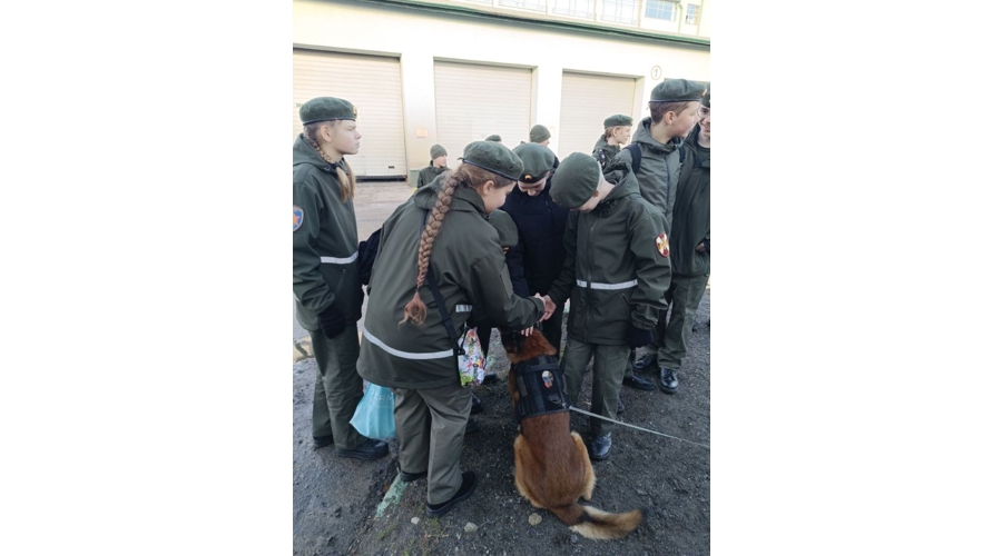 Патриотическая акция «Один день с Росгвардией» прошла в Нижнем Новгороде (видео)