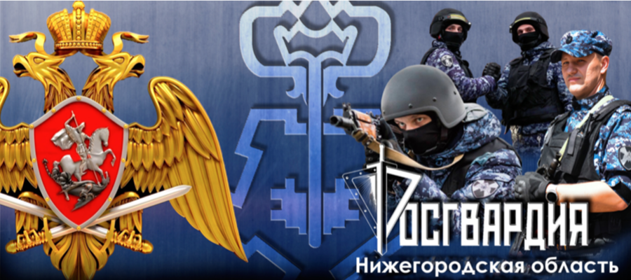 Росгвардия запустила новый онлайн-сервис для повышения антитеррористической защищенности объектов по всей стране