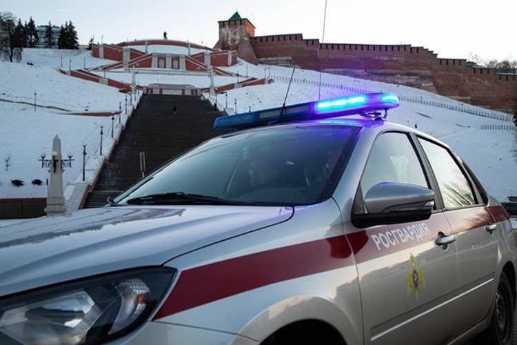 Росгвардейцы предотвратили серию краж в Нижнем Новгороде