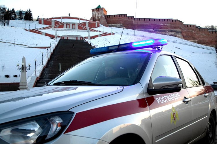 В Нижнем Новгороде росгвардейцы задержали мужчину, открыто похитившего сотовый телефон из автомобиля