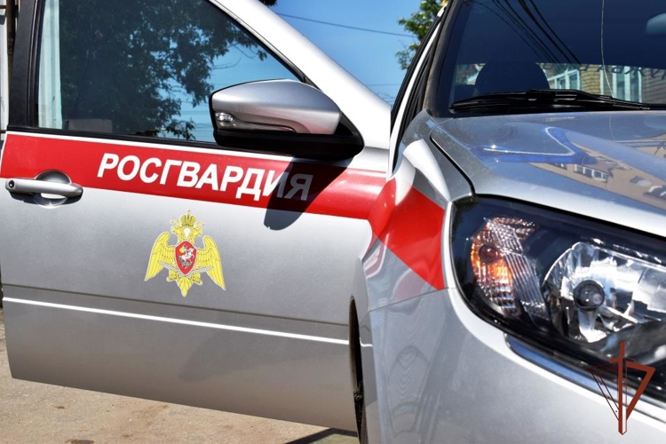 Нижегородские росгвардейцы за прошедшую неделю выезжали более 650 раз по сигналу «тревога»