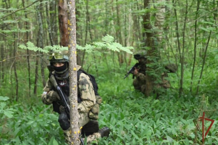 Подразделения Управления Росгвардии по Нижегородской области приняли участие в масштабных антитеррористических учениях