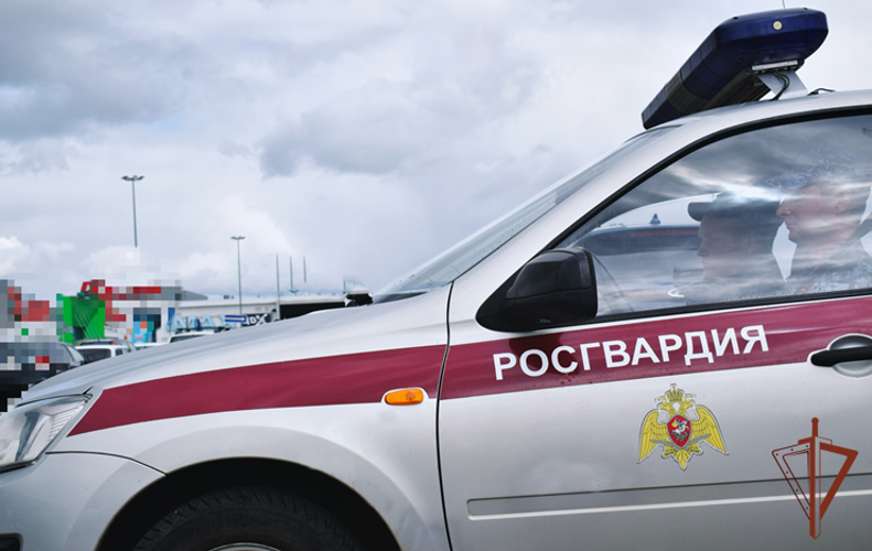 Росгвардейцы предотвратили серию краж в Нижнем Новгороде