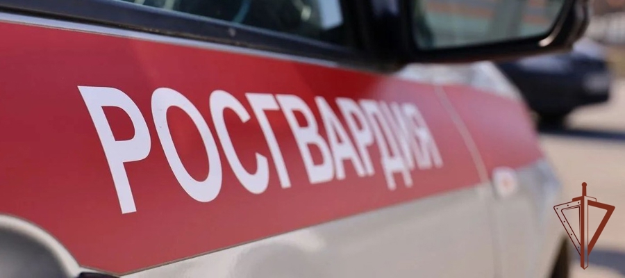 Росгвардейцы задержали нетрезвого водителя в Нижегородской области (видео)